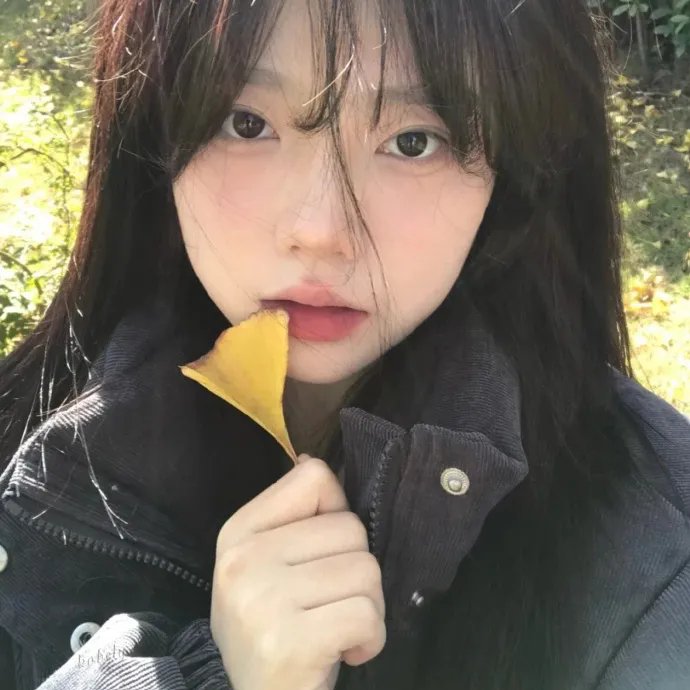 自由第一日
